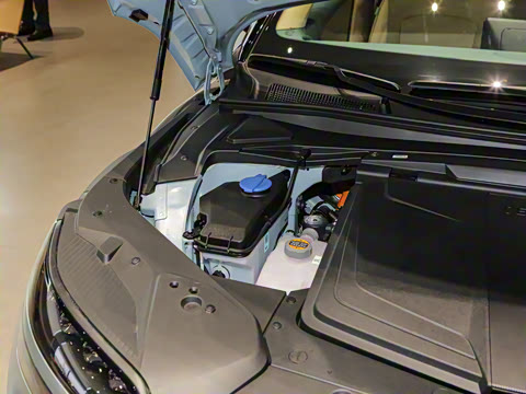 2024�� ˫�������������