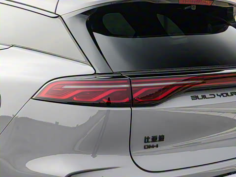 2025�� �Ǽݰ� DM-i 115KM �콢��