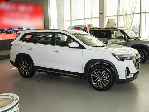 2025�� ��Խ�� 1.6TD DCT����PRO 5��