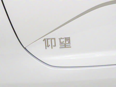 2025�� EV ����������