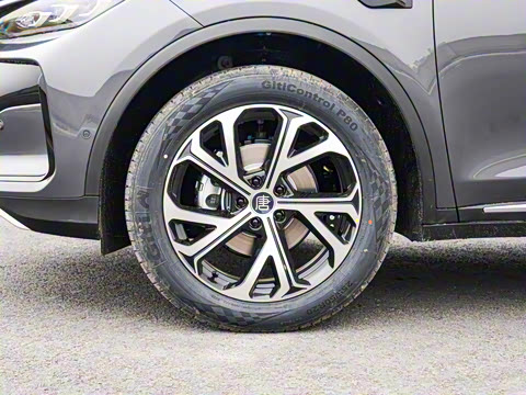 2025�� �Ǽݰ� DM-i 115KM ������