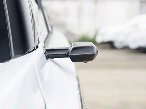 2025�� ����������Max