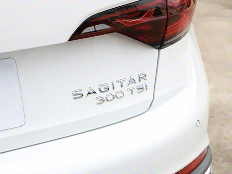 2025�� �Ŀ��� 300TSI DSG��Խ��