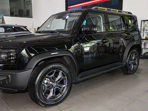 2024�� C-DM 129KM ԭҰ��