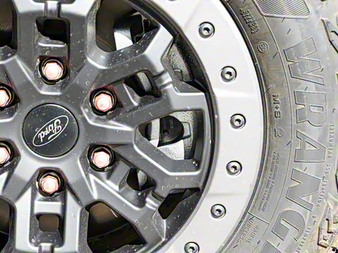 2025�� ɳ���ر�� ����