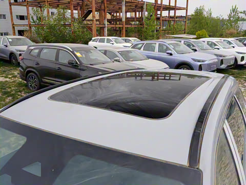 2025�� 120 �������������� 7�� ��Ԫ�