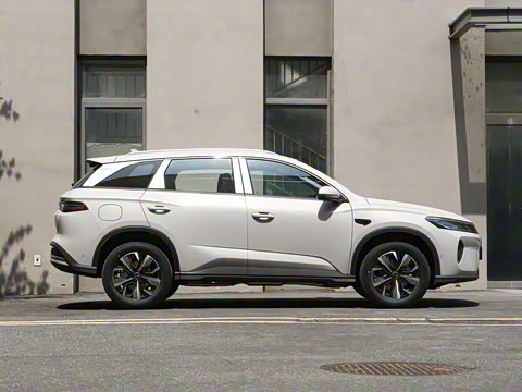 2025�� DM-i �Ǽݰ� 75KM������