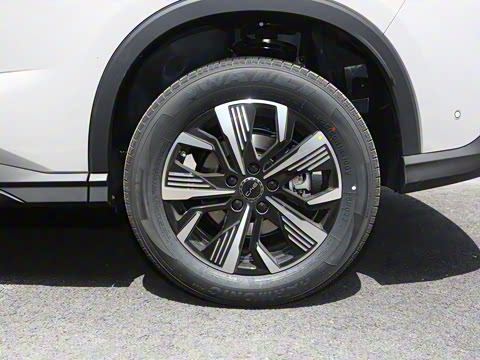 2025�� DM-i �Ǽݰ� 75KM������