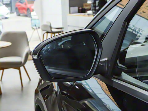 2025�� ��������