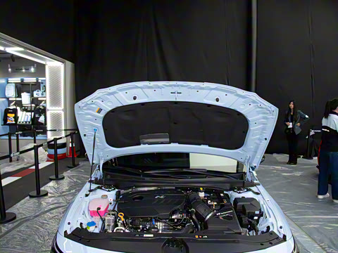 2023�� 2.0T Sport Package Edition