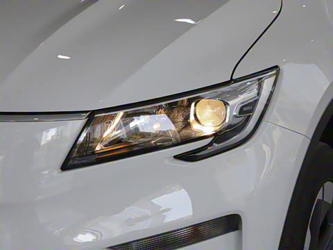 2025�� �������캽��