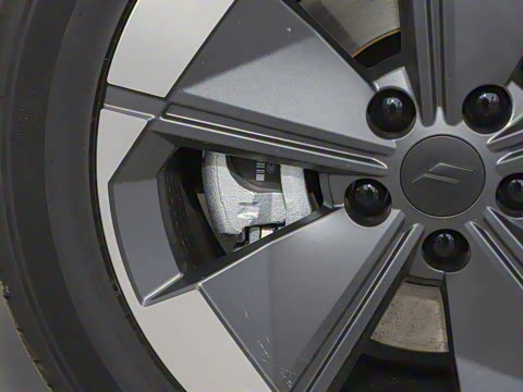 2025�� �������캽��