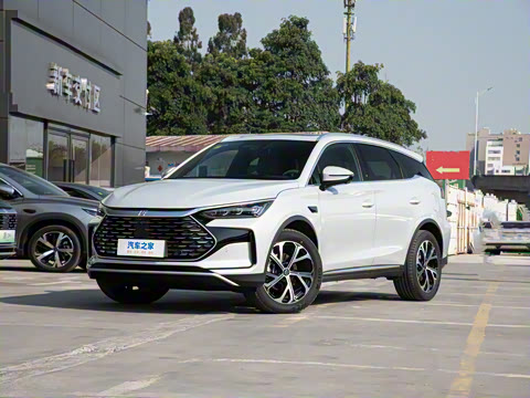 2025�� �Ǽݰ� DM-i 115KM �콢��