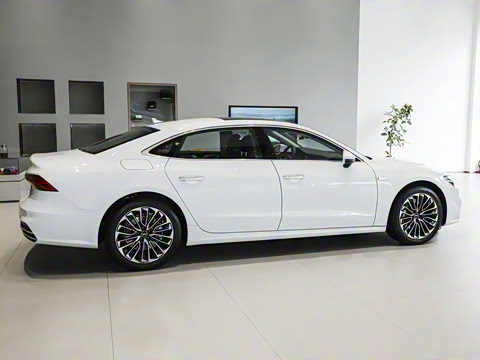 2025�� 45 TFSI ������