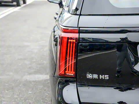 2025�� 2.0T�Զ������캽�� ����