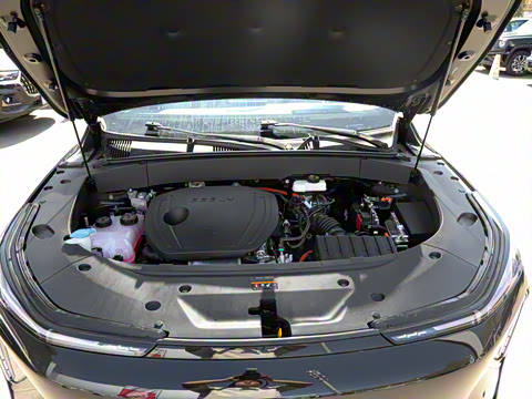 2025�� 3DHT 115km �ǽ���