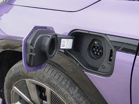 2025�� ����������Max