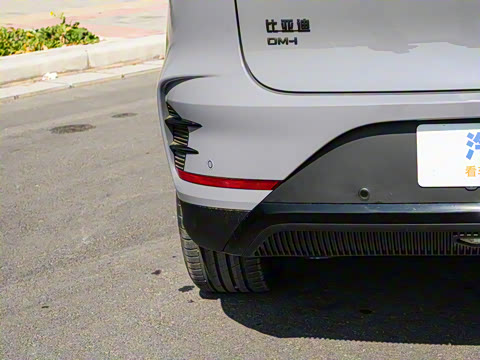 2025�� �Ǽݰ� DM-i 115KM ������