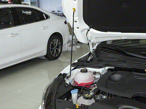 2024�� ���ڰ� 1.5TD-DHT Pro 100KM ׿Խ��