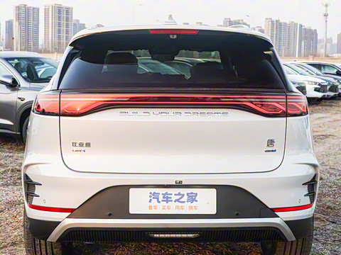 2025�� �Ǽݰ� DM-i 115KM ������