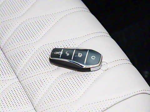 2025�� �Ǽݰ� DM-i 115KM ������