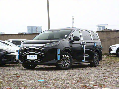 2025�� DM-i 1.5T 100km ������