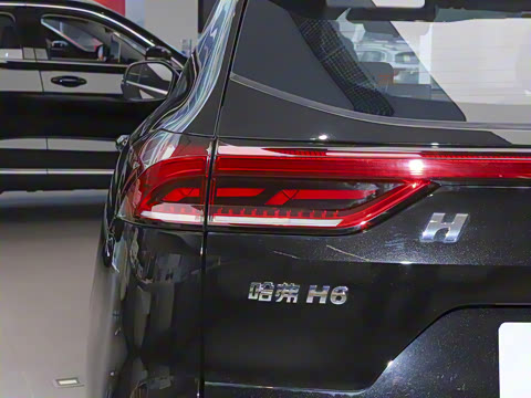 2023�� ������ 1.5T �Զ��ھ���