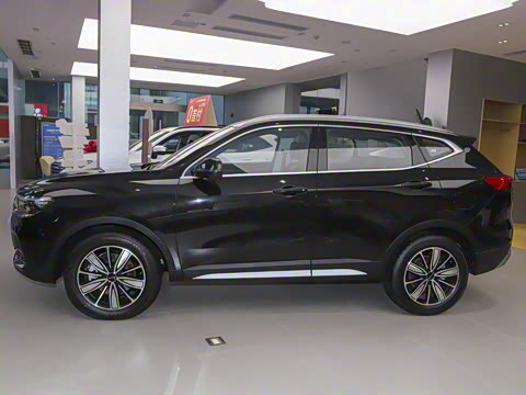 2023�� ������ 1.5T �Զ��ھ���