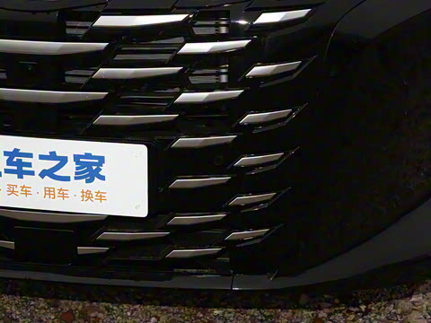 2025�� DM-i 1.5T 100km ������