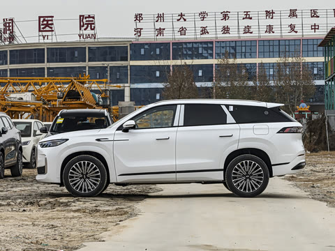 2025�� 1.5T 106KM������ 7�� �������