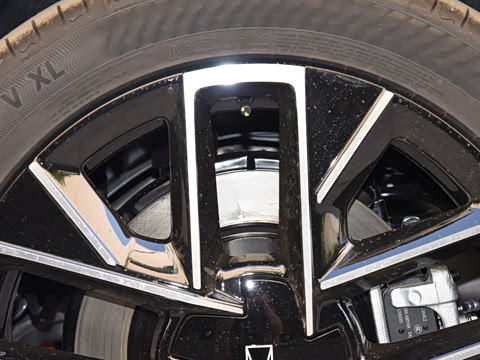 2025�� Pro�����