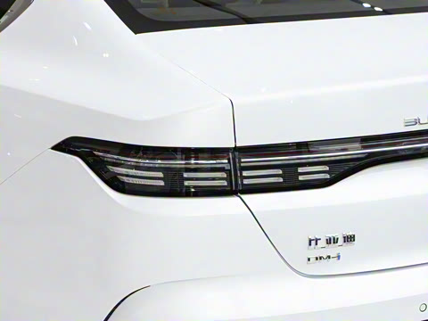 2024�� DM-i 55KM �캽��ҫ��