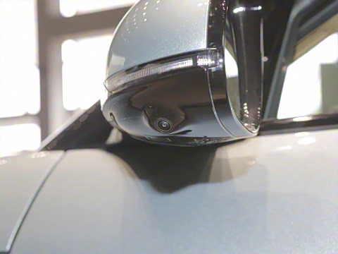 2024�� ˫�������������