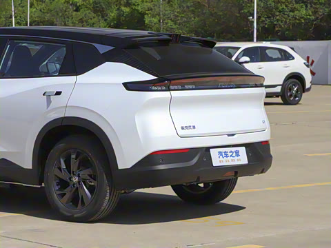 2025�� 518������