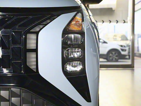 2023�� ��� 2.0L ����LUX