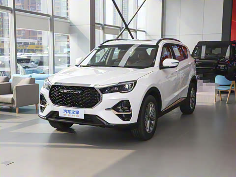 2025�� 1.5T DCT��ԽPRO 5��