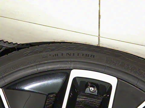 2025�� Max�����