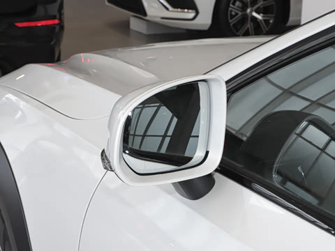 2025�� Cross Country B5 AWD �����