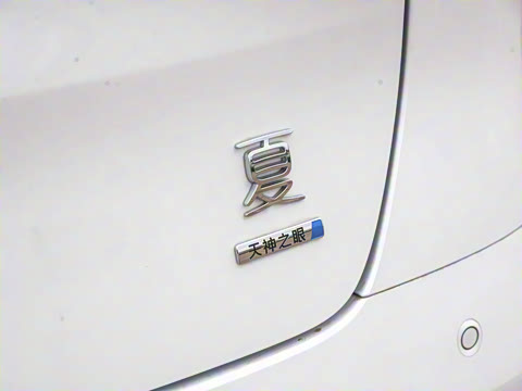 2025�� DM-i 1.5T 100km �캽��