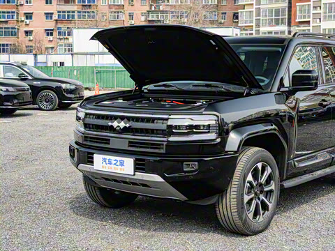 2025�� �����Ǽ�Max��