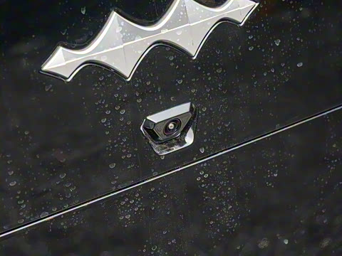 2025�� �����Ǽ�Max��