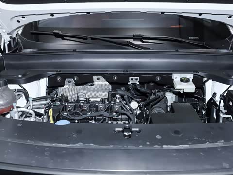 2025�� 215�����콢PLUS