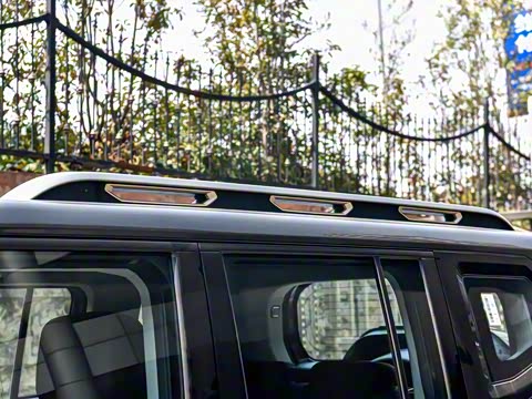 2025�� 2.0TD DCT XWD��Խ