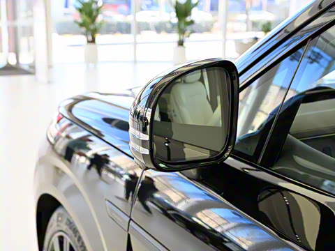 2025�� ������