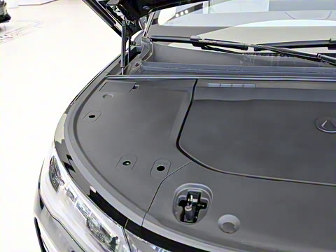 2025�� ������