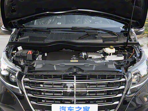 2024�� V 300 L ����������