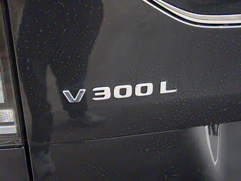 2024�� V 300 L ����������