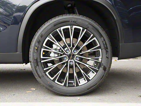 2025�� 300T ������Խ��