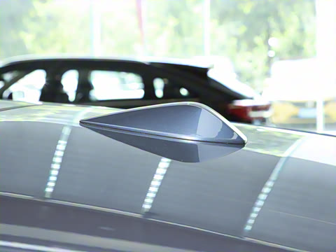 2025�� ����������Pro