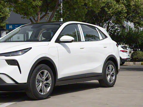 2025�� 445km ���ð�